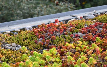 the cost of Rhos Common green roof installation