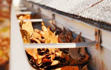 Rhos Common gutter cleaning companies