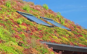 Rhos Common living roof systems