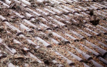 Rhos Common roof cleaning companies